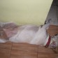 durmiendo